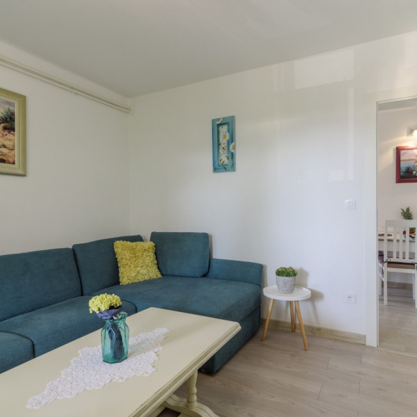 Living room, Apartman Marina, Dream Holiday Travel Tourist Agency - Okrug Gornji Croatia Okrug Gornji